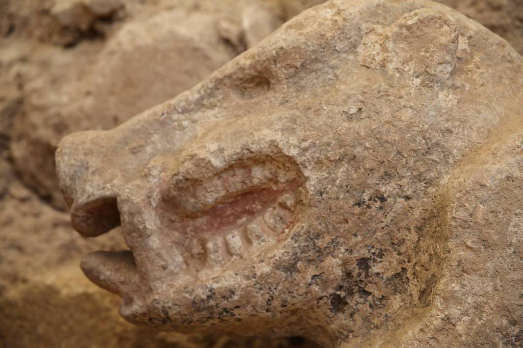 Göbelitepe'de heyecanlandıran keşif: Dünyanın en eskisi ilk kez ülkemizde bulundu! Tarih öncesi sanatın en etkileyici örneği 15